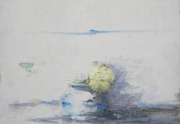 Terry DeLapp Art